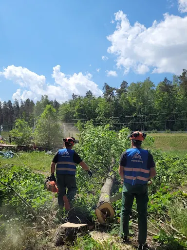 Grupa Nostromo - prace na wysokości